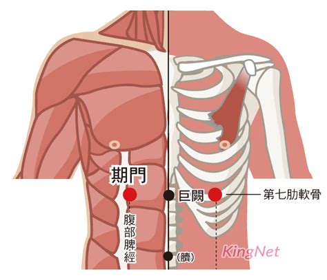 旗門穴|期門穴位置 